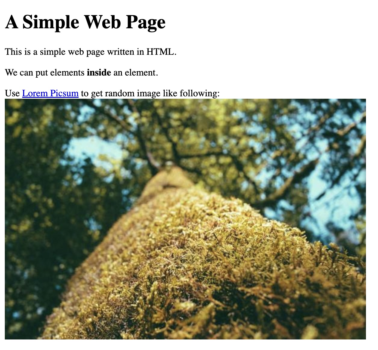 A simple web page